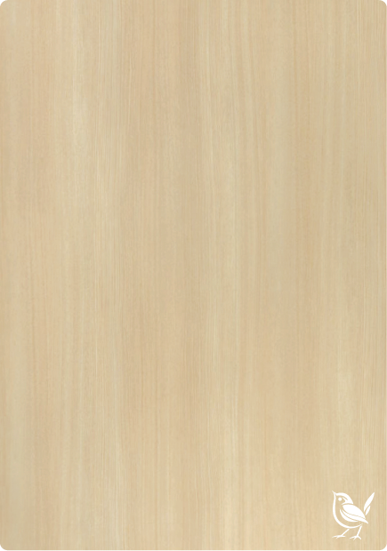 Light Birch
