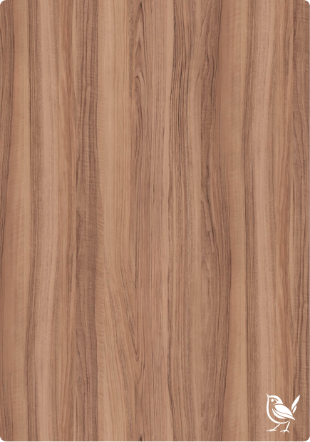 Boxwood