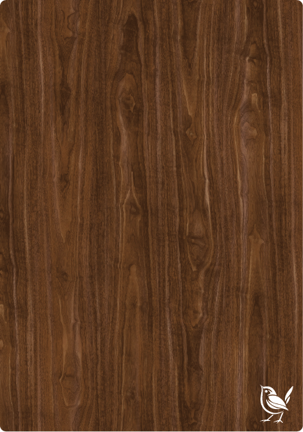 Sassafras Walnut