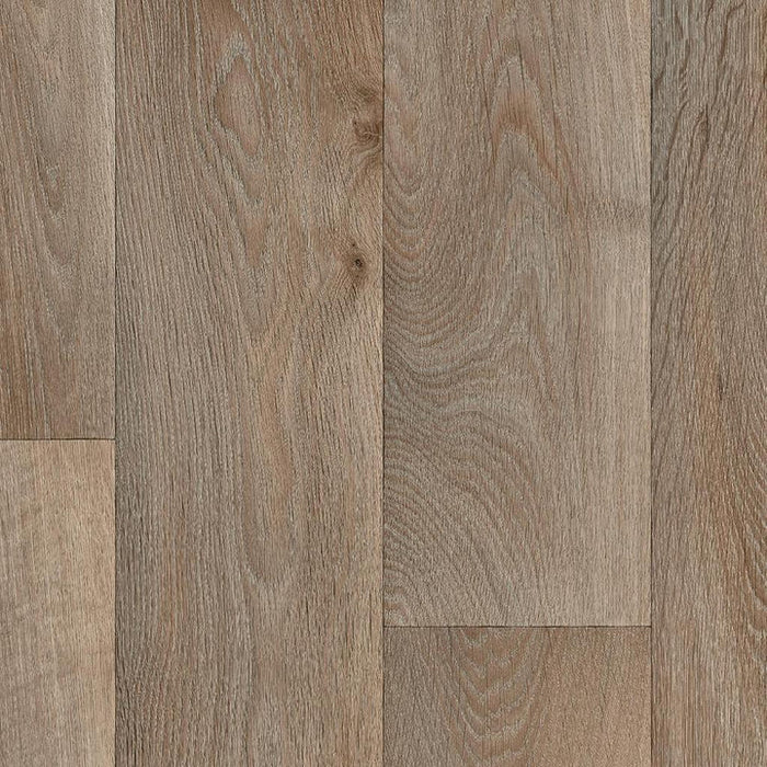 Sand Oak
