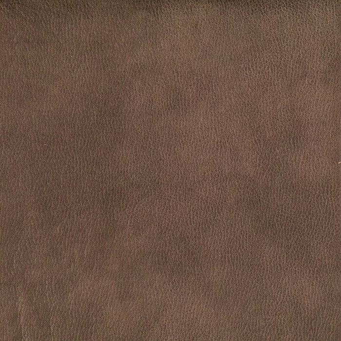 Donkey