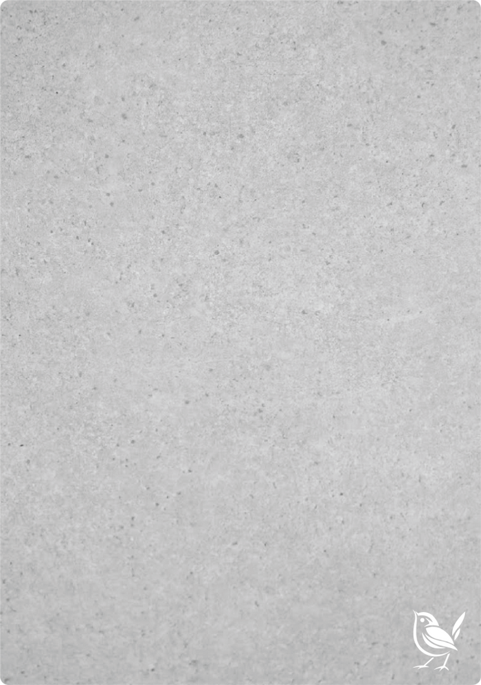 Light Grey Ritz