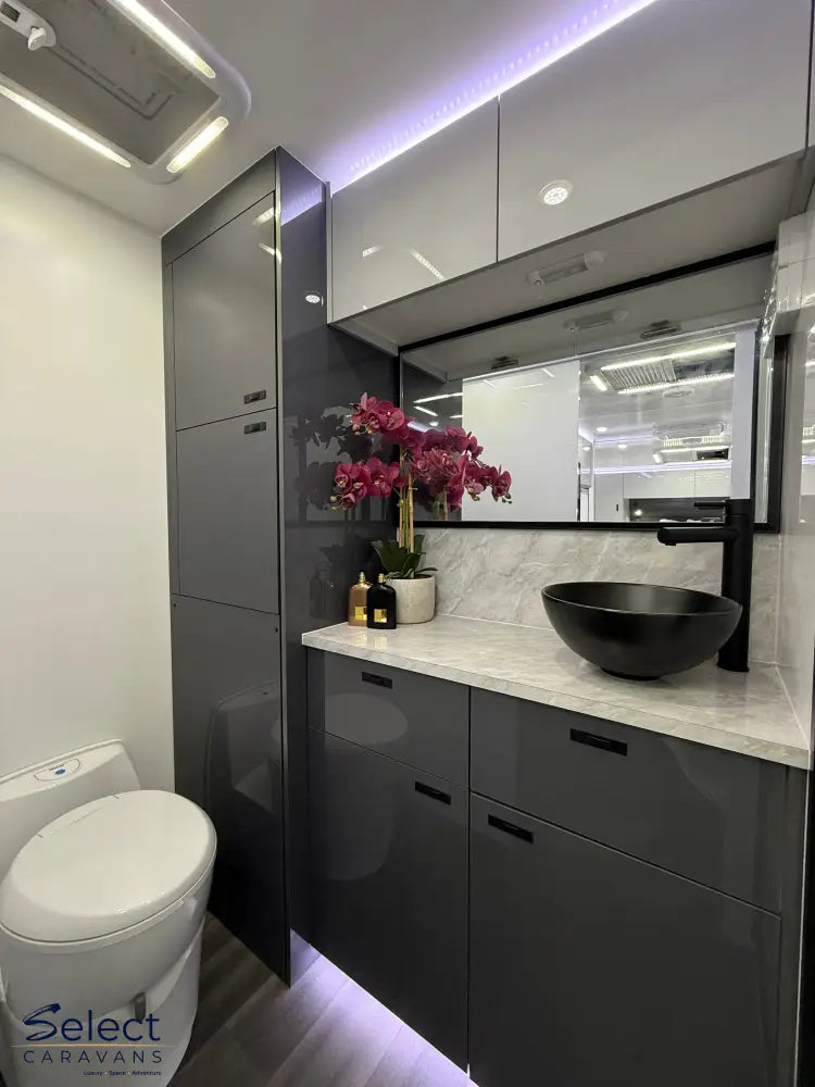 Modern bathroom interior with dark gray cabinets, white toilet, and decorative elements.