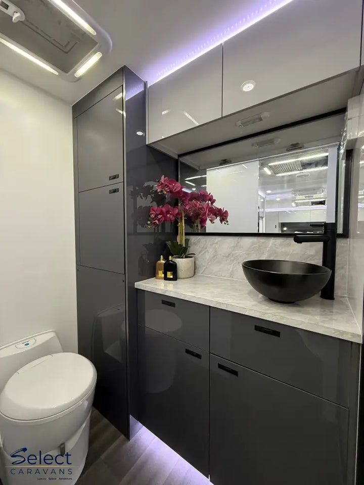 Modern bathroom interior with dark gray cabinets, white toilet, and decorative elements.